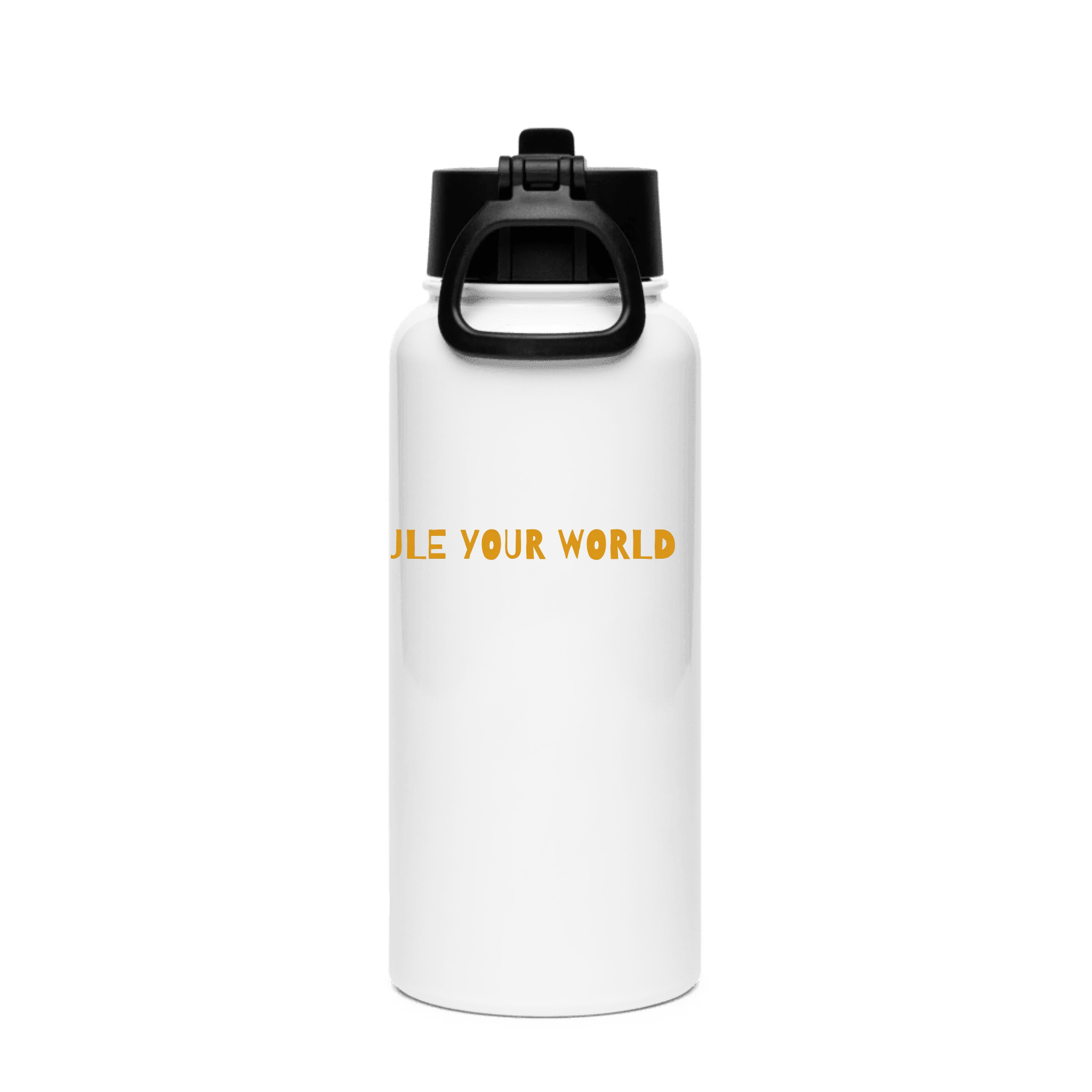 Stainless Steel Water Bottle